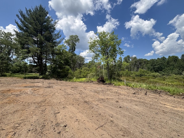 V/L4.67A E M-20, Hesperia, MI 49421 - photo 12