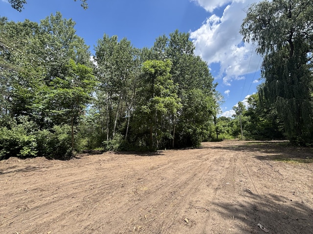 V/L4.67A E M-20, Hesperia, MI 49421 - photo 16