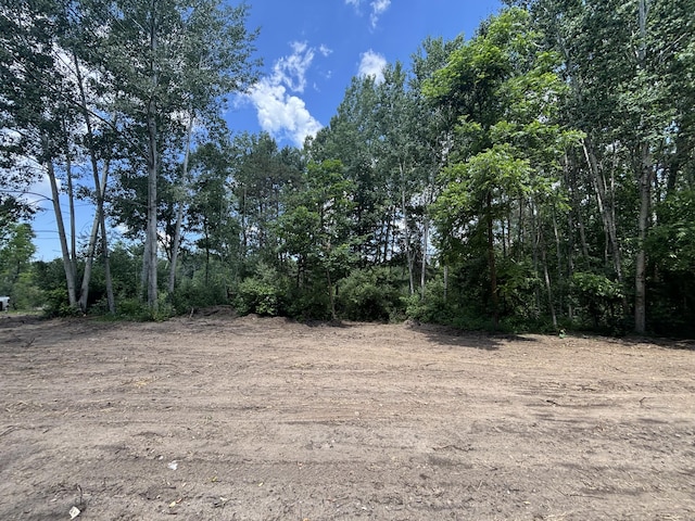 V/L4.67A E M-20, Hesperia, MI 49421 - photo 18