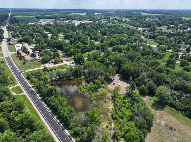 V/L4.67A E M-20, Hesperia, MI 49421 - photo 4