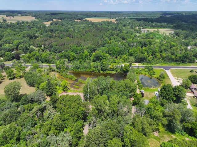V/L4.67A E M-20, Hesperia, MI 49421 - photo 9
