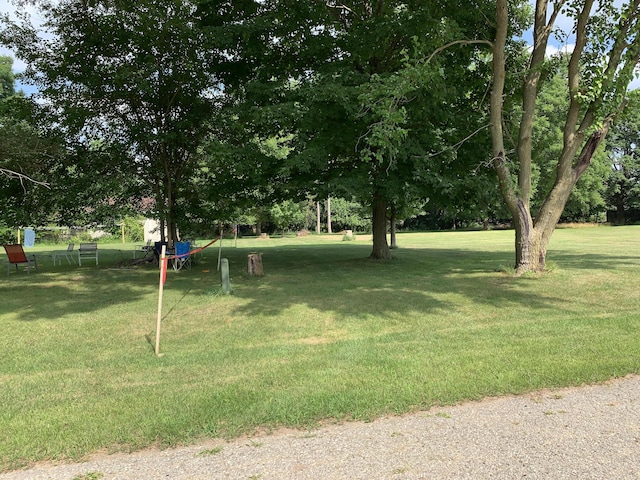 Lizzie Ave, Hesperia, MI 49421 - photo 2