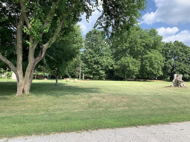 Lizzie Ave, Hesperia, MI 49421 - photo 3