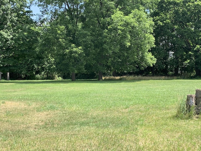 Lizzie Ave, Hesperia, MI 49421 - photo 4