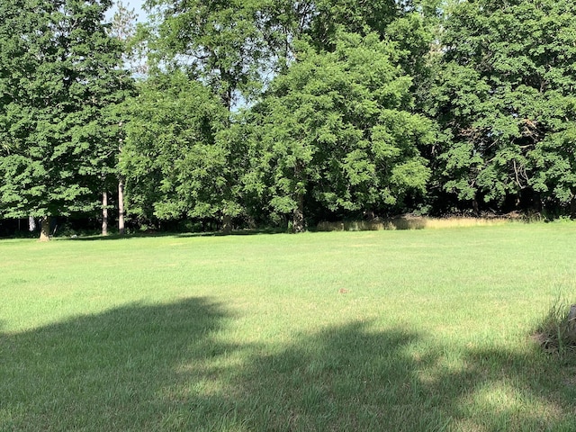Lizzie Ave, Hesperia, MI 49421 - photo 1