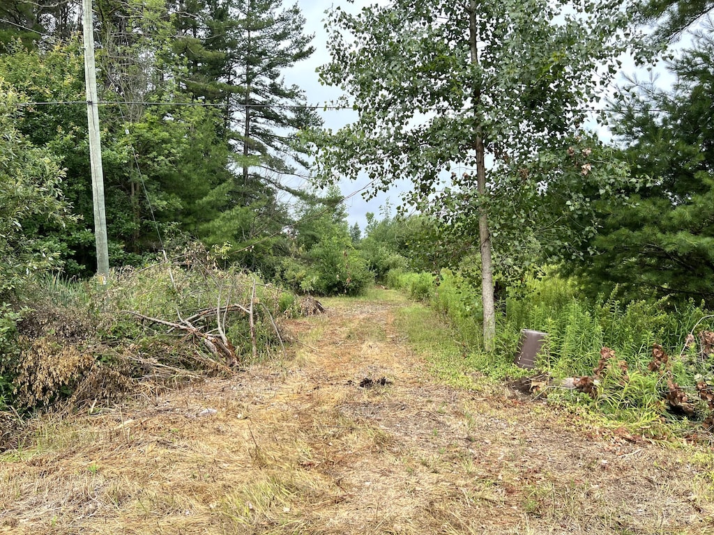 Maple Island Rd, Nunica, MI 49448 - photo 1