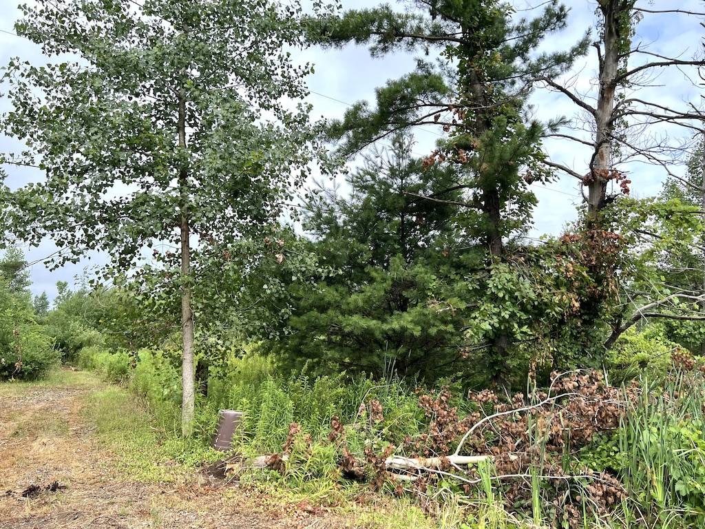Maple Island Rd, Nunica, MI 49448 - photo 3