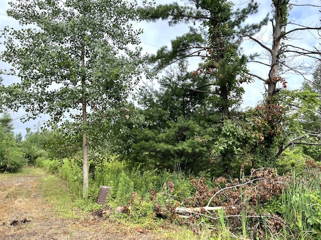 Maple Island Rd, Nunica, MI 49448 - photo 3