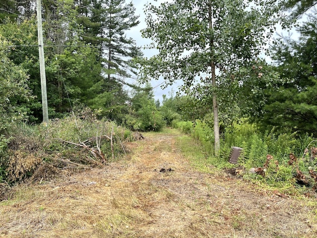 Maple Island Rd, Nunica, MI 49448 - photo 4