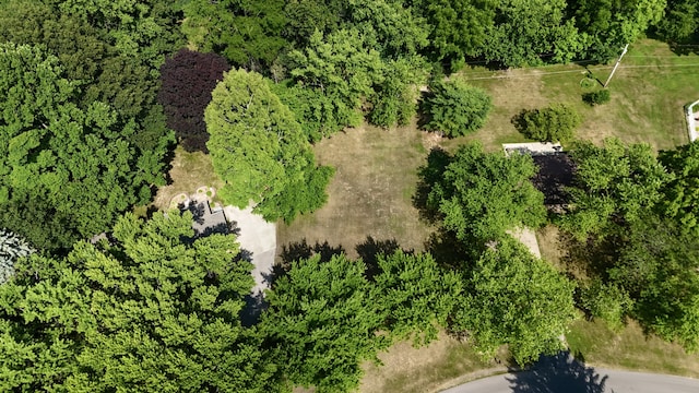 5043 W Donna Dr, Stevensville, MI 49127 - photo 4