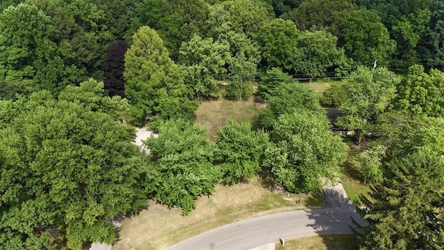 5043 W Donna Dr, Stevensville, MI 49127 - photo 7