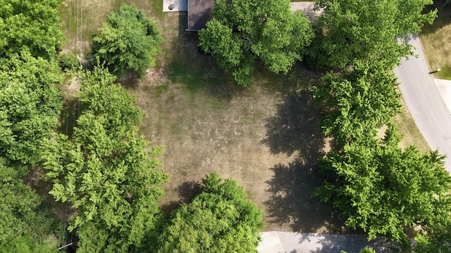 5043 W Donna Dr, Stevensville, MI 49127 - photo 3