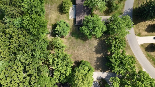 5043 W Donna Dr, Stevensville, MI 49127 - photo 9