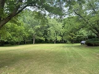 5043 W Donna Dr, Stevensville, MI 49127 - photo 2