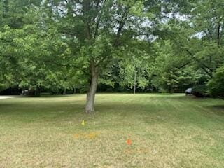 5043 W Donna Dr, Stevensville, MI 49127 - photo 1
