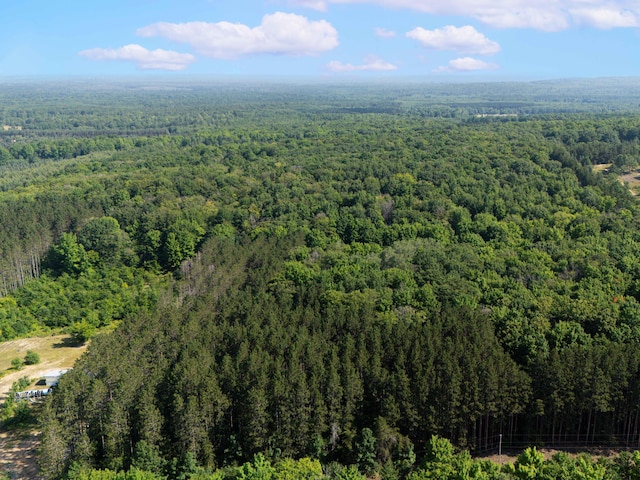 VL W Phelps Rd, Manton, MI 49663 - photo 16