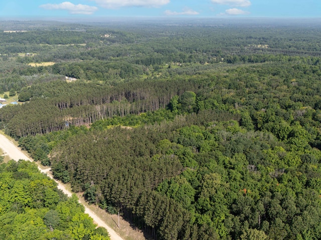 VL W Phelps Rd, Manton, MI 49663 - photo 3