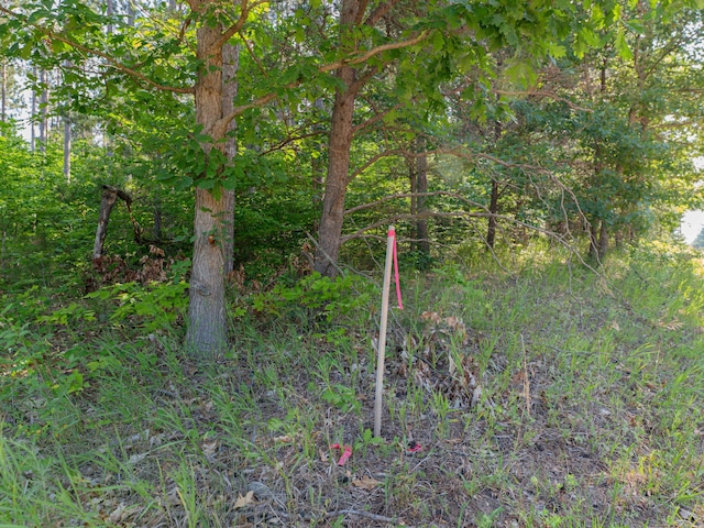 VL W Phelps Rd, Manton, MI 49663 - photo 8