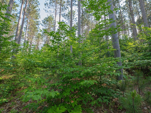 VL W Phelps Rd, Manton, MI 49663 - photo 9