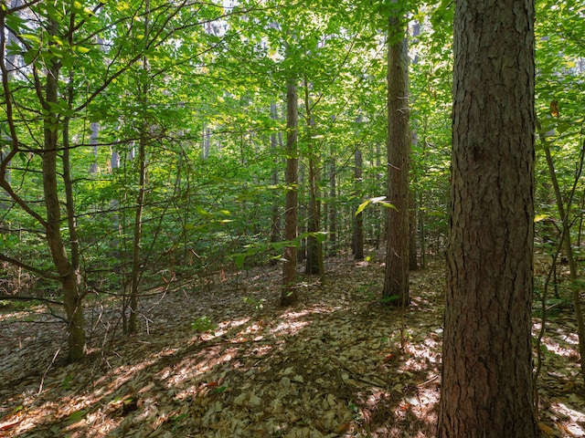 VL W Phelps Rd, Manton, MI 49663 - photo 10