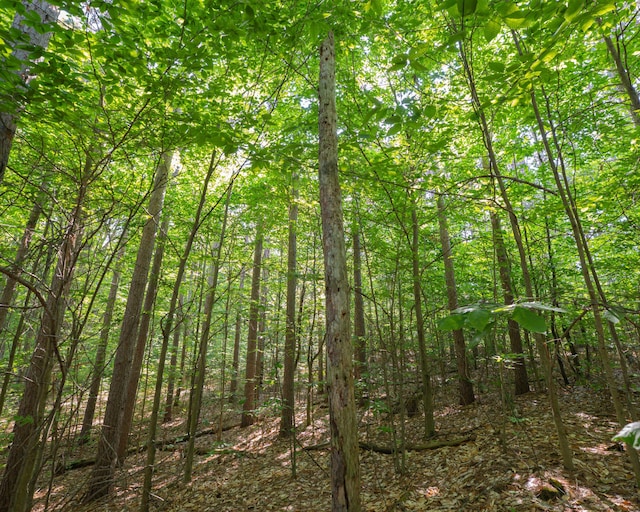 VL W Phelps Rd, Manton, MI 49663 - photo 11