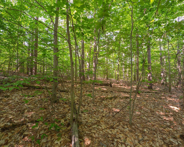 VL W Phelps Rd, Manton, MI 49663 - photo 12