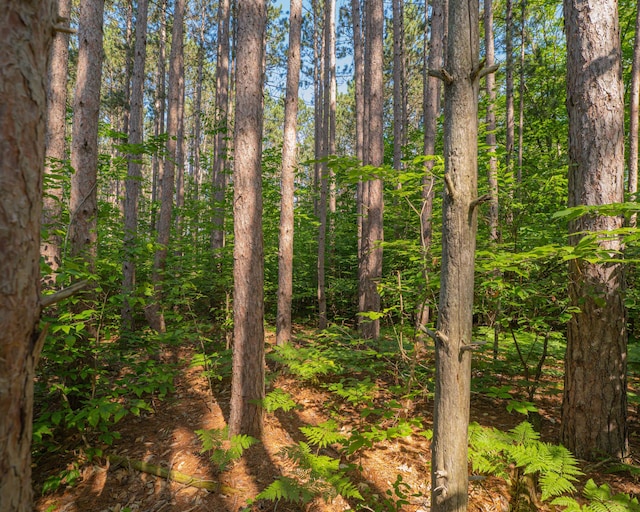 VL W Phelps Rd, Manton, MI 49663 - photo 14