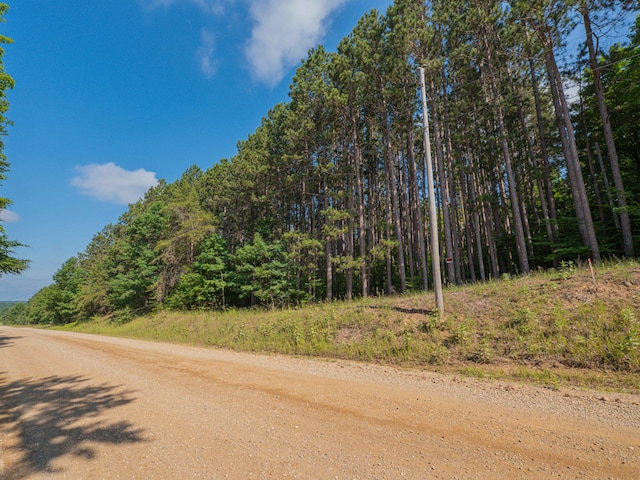 VL W Phelps Rd, Manton, MI 49663 - photo 2
