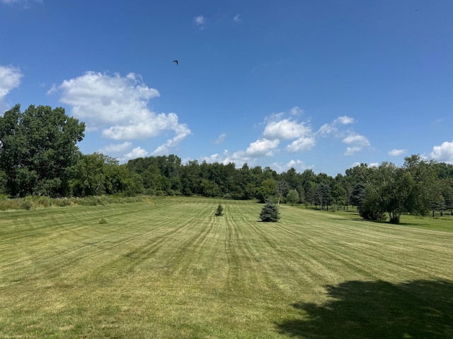 7350 N Territorial Rd, Dexter, MI 48130 - photo 52