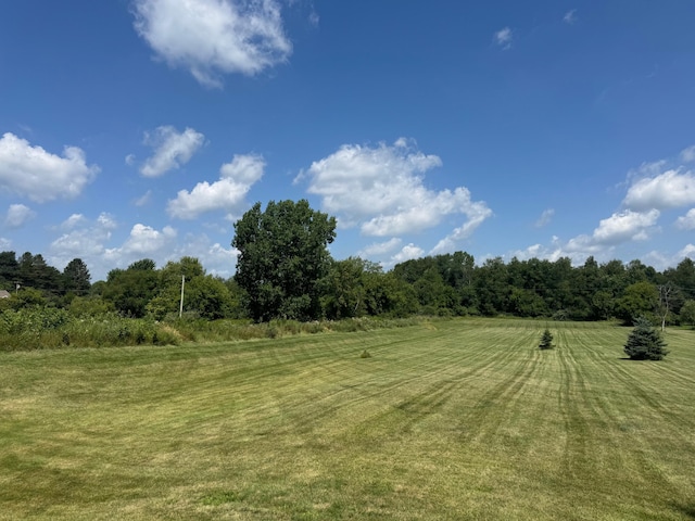 7350 N Territorial Rd, Dexter, MI 48130 - photo 51