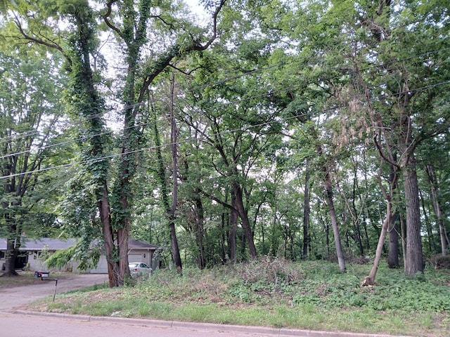 1272 Westlake Woods Dr, Springfield, MI 49037