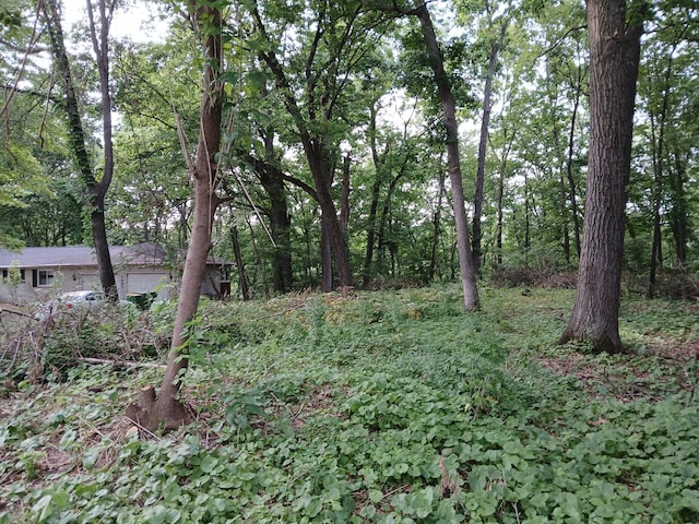 1272 Westlake Woods Dr, Springfield, MI 49037