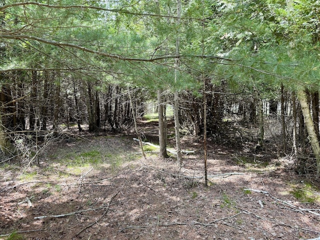 2 Seymour, Onekama, MI 49675