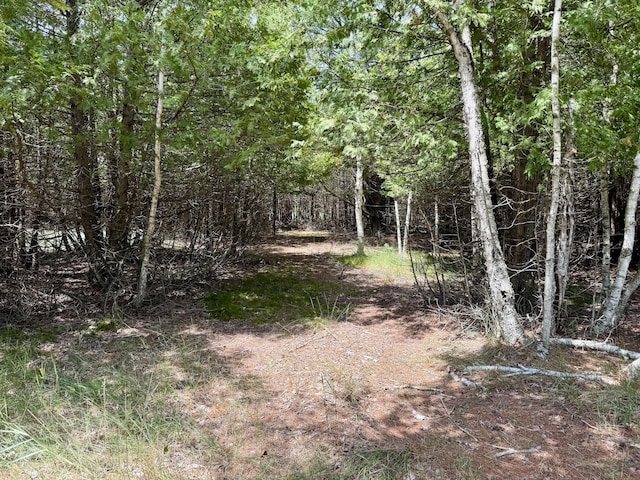 2 Seymour, Onekama, MI 49675