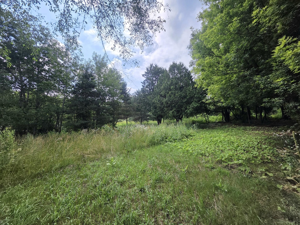 306 E Condensery Rd, Sheridan, MI 48884 - photo 1