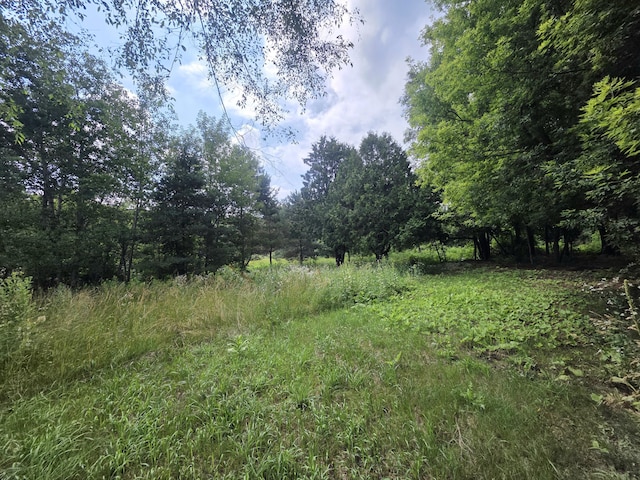 306 E Condensery Rd, Sheridan, MI 48884 - photo 1