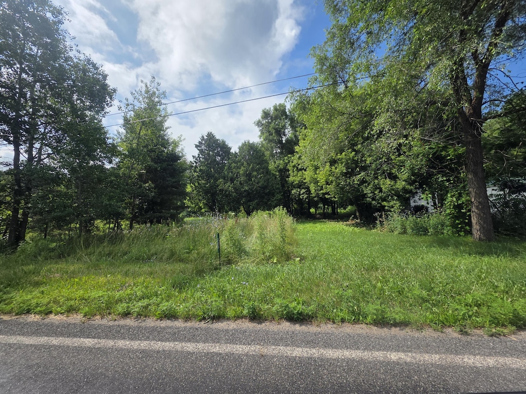 306 E Condensery Rd, Sheridan, MI 48884 - photo 2