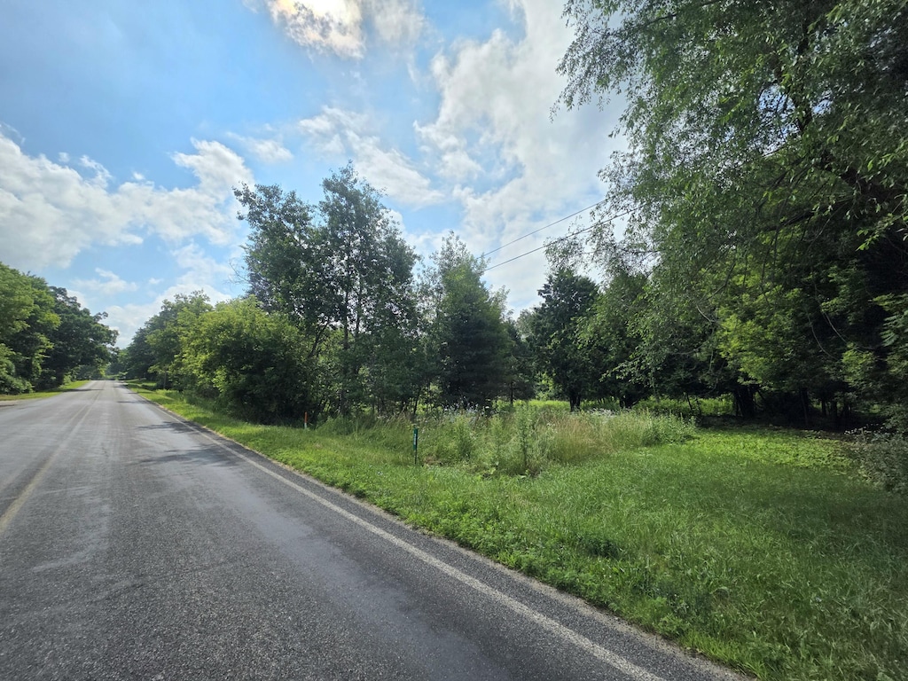 306 E Condensery Rd, Sheridan, MI 48884 - photo 3