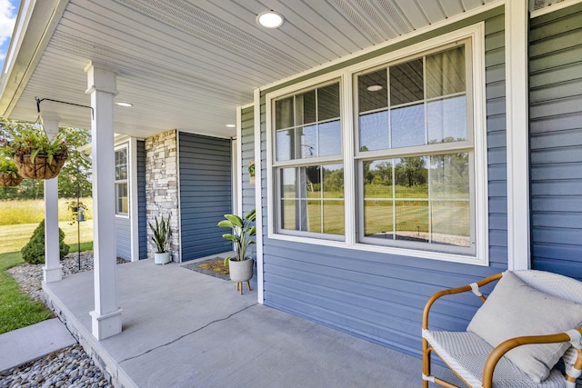 9430 Island Lake Rd, Dexter, MI 48130 - view of porch