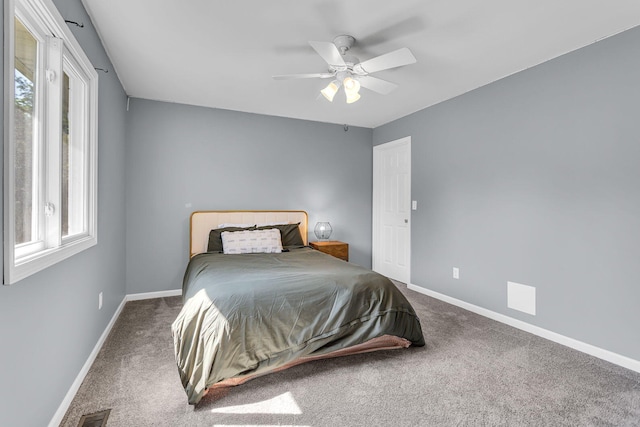 9430 Island Lake Rd, Dexter, MI 48130 - bedroom with multiple windows, carpet, and ceiling fan