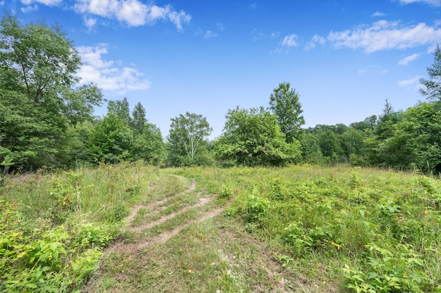 5004 N Cypress Ave, Big Rapids, MI 49307