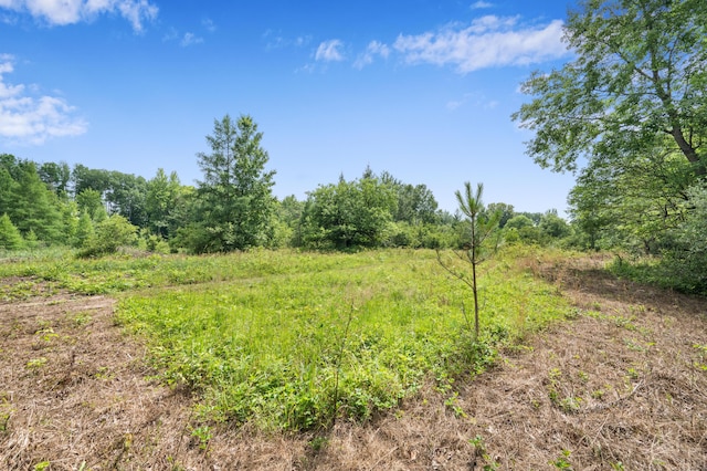 5004 N Cypress Ave, Big Rapids, MI 49307