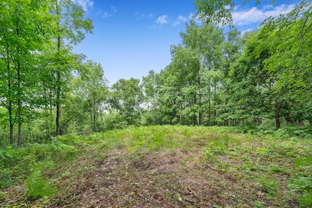 5004 N Cypress Ave, Big Rapids, MI 49307