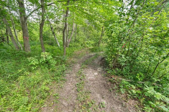 5004 N Cypress Ave, Big Rapids, MI 49307