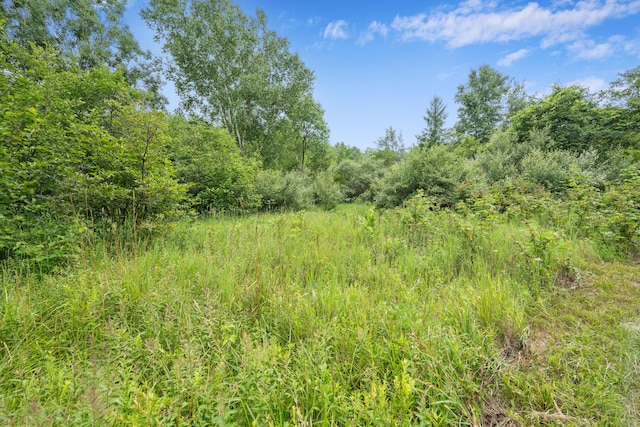 5004 N Cypress Ave, Big Rapids, MI 49307