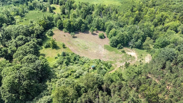 5004 N Cypress Ave, Big Rapids, MI 49307