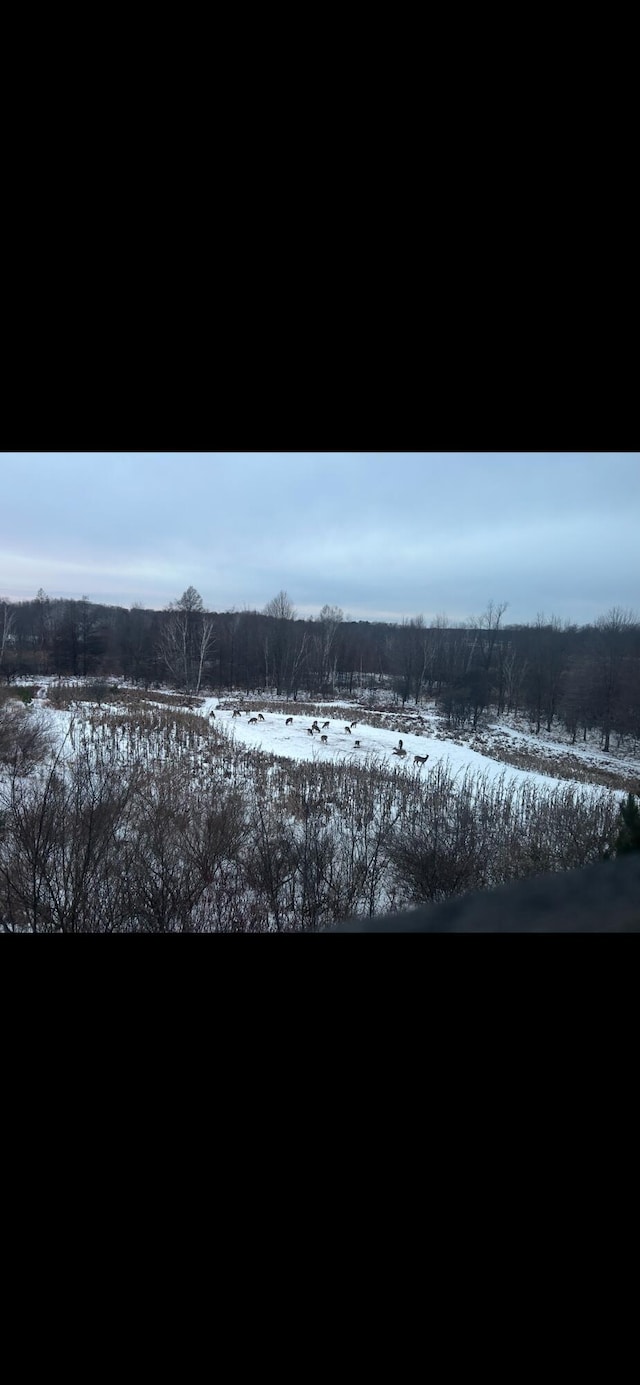 5004 N Cypress Ave, Big Rapids, MI 49307