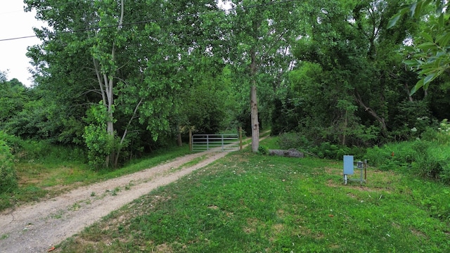 2368 63rd St, Fennville, MI 49408 - photo 3