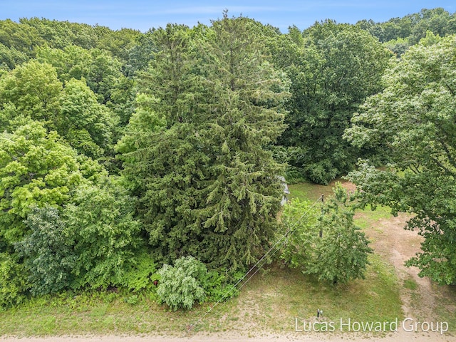 47 Blue Star Hwy, South Haven, MI 49090 - photo 7