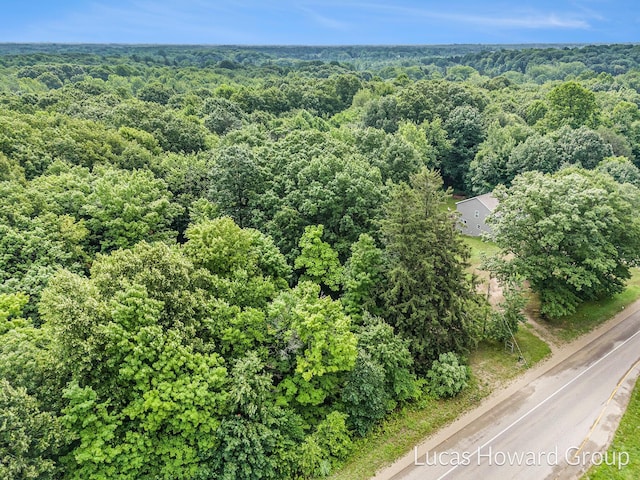 47 Blue Star Hwy, South Haven, MI 49090 - photo 4